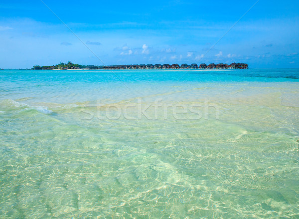 Plage plage tropicale palmiers bleu nature [[stock_photo]] © Pakhnyushchyy