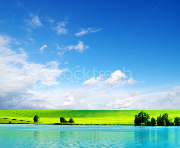 Câmp Blue Sky primăvară iarbă natură peluză Imagine de stoc © Pakhnyushchyy