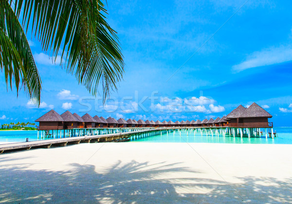  Maldives Stock photo © Pakhnyushchyy