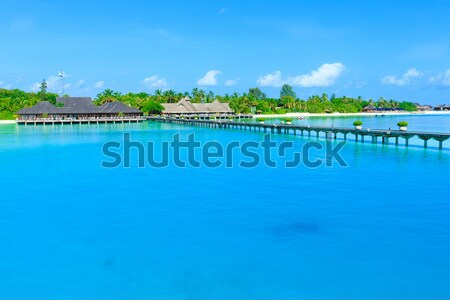 [[stock_photo]]: Tropicales · mer · belle · plage · soleil · nature