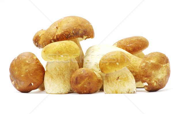  mushrooms  Stock photo © Pakhnyushchyy