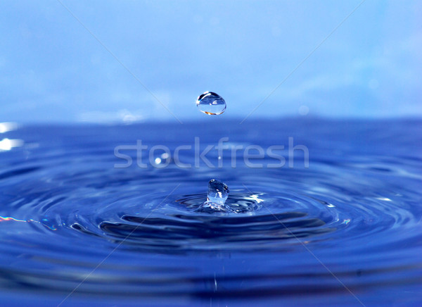 Water transparant drop natuur achtergrond regen Stockfoto © Pakhnyushchyy