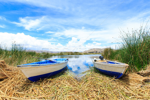 Titicaca lake near Puno, Peru Stock photo © Pakhnyushchyy