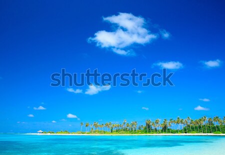 Stock photo:  tropical sea