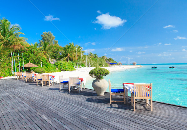 Plage plage tropicale palmiers bleu ciel [[stock_photo]] © Pakhnyushchyy