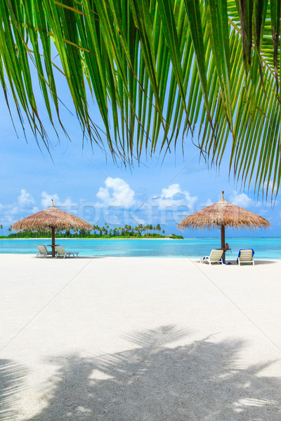 Plaży tropikalnej plaży palm niebieski krajobraz Zdjęcia stock © Pakhnyushchyy