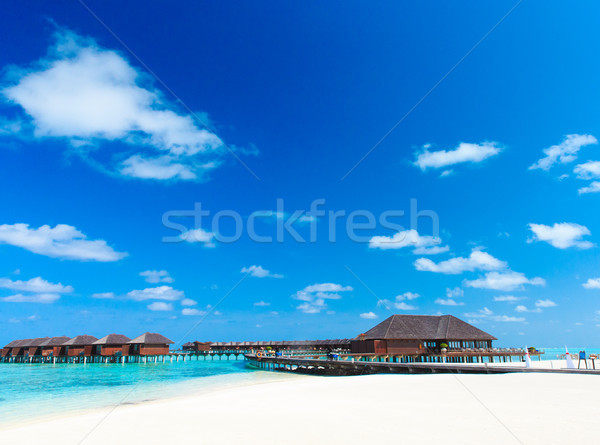 Plage plage tropicale palmiers bleu nature [[stock_photo]] © Pakhnyushchyy