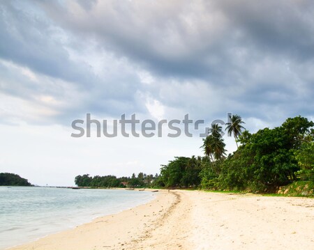 Plage tropicale mer Thaïlande ciel nuages océan [[stock_photo]] © Pakhnyushchyy