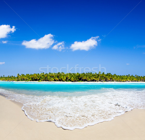 Stock photo:  tropical sea