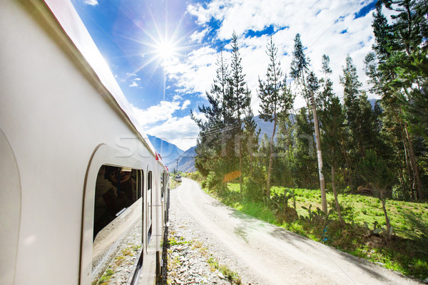 Sina tren călători turist turism tur Imagine de stoc © Pakhnyushchyy