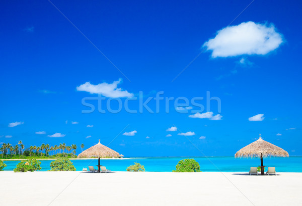Stock fotó: Tenger · fehér · trópusi · tengerpart · kevés · pálmafák · kék