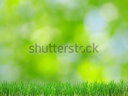 Stock photo:  green background 