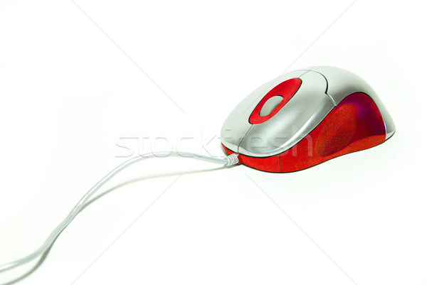 Mouse de computador isolado branco tecnologia roda arame Foto stock © Pakhnyushchyy