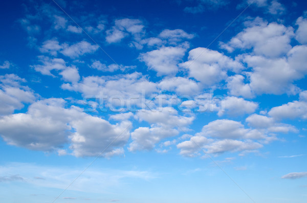 Cielo azul nube primer plano fondo verano azul Foto stock © Pakhnyushchyy