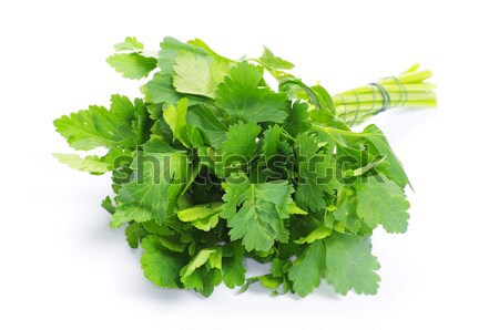 Pietruszka świeże zielone odizolowany biały Zdjęcia stock © Pakhnyushchyy