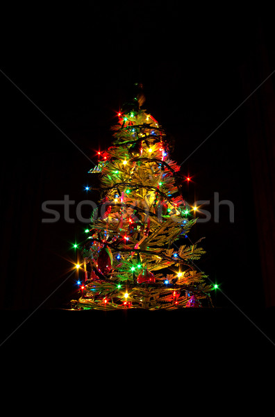New-year tree  Stock photo © Pakhnyushchyy