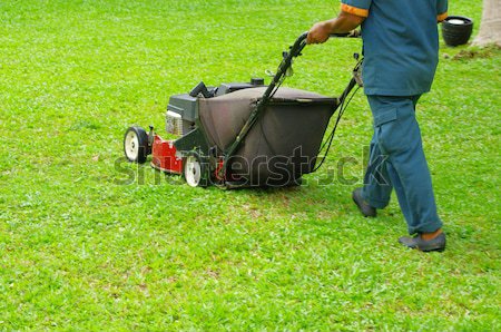  mowing the lawn Stock photo © Pakhnyushchyy