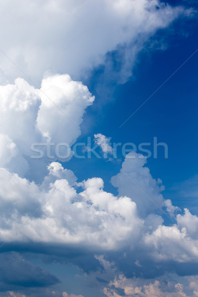 藍天 雲 夏天 藍色 雲 商業照片 © Pakhnyushchyy