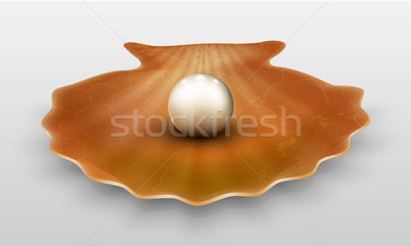 Stock photo: Vector pearl in shell