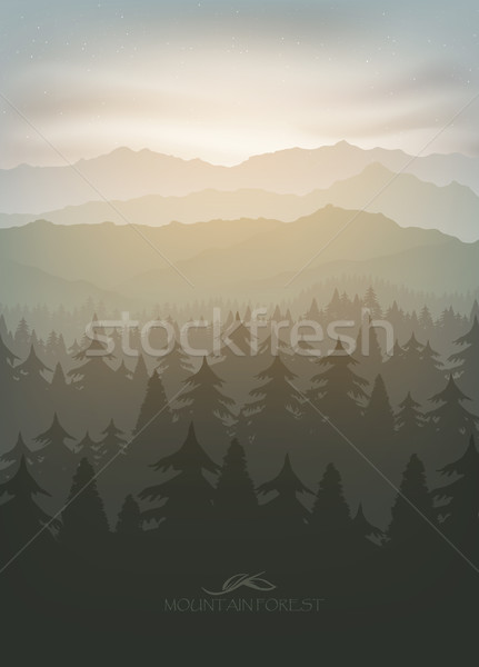 mountain forest in fog and sunrise Stock photo © Panaceadoll