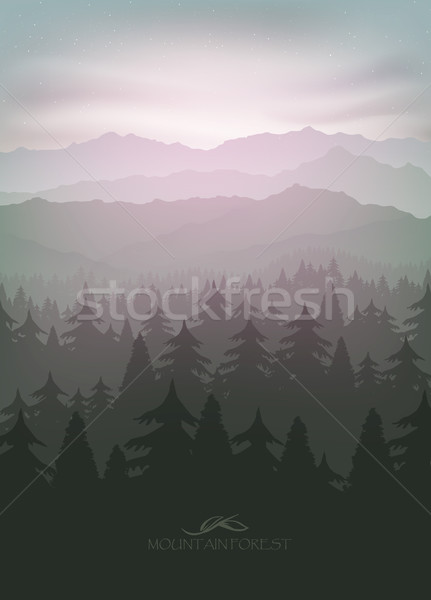 mountain forest in fog and sunrise Stock photo © Panaceadoll