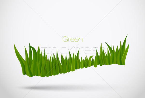 Foto stock: Grama · verde · folhas · verão · primavera · natureza · luz