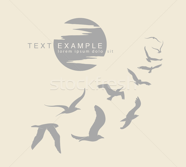 楔 鳥類 飛行 天空 背景 畫 商業照片 © Panaceadoll
