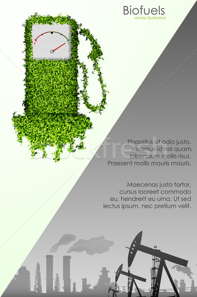 evolution of the concept of greening of the world infographics Stock photo © Panaceadoll