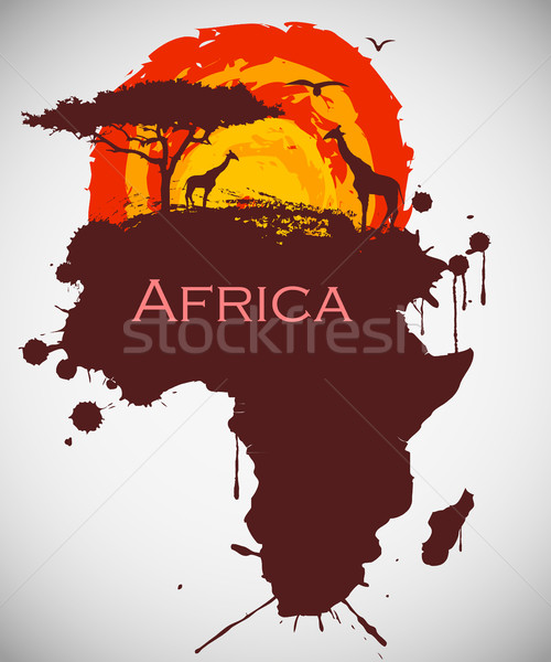 Afrika Savanne Fauna flora Himmel Textur Stock foto © Panaceadoll