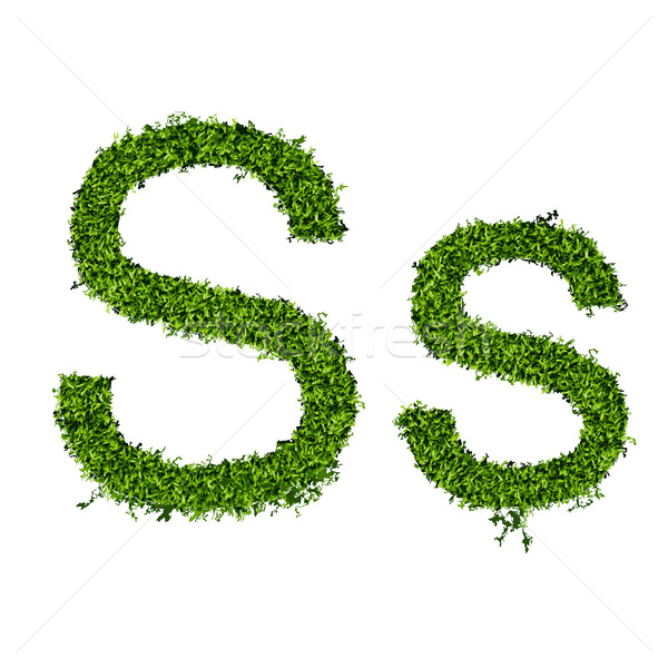 Isolated grass alphabet on white background Stock photo © Panaceadoll