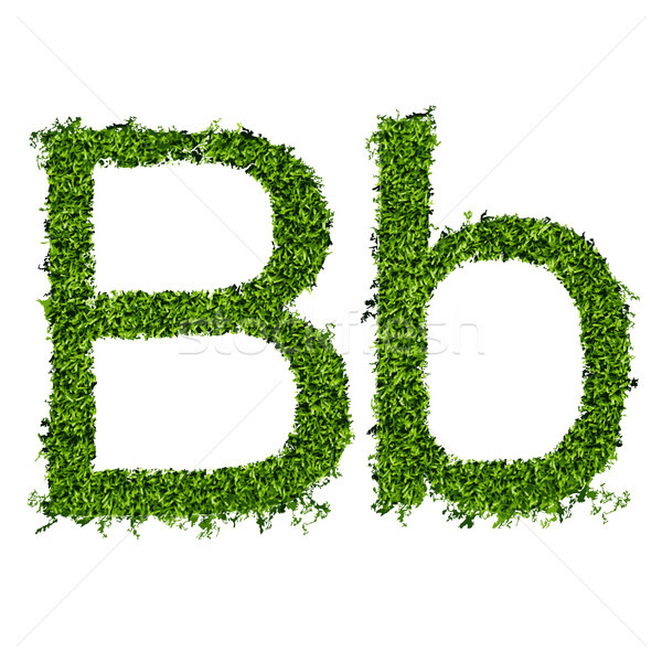 Isolated grass alphabet on white background Stock photo © Panaceadoll