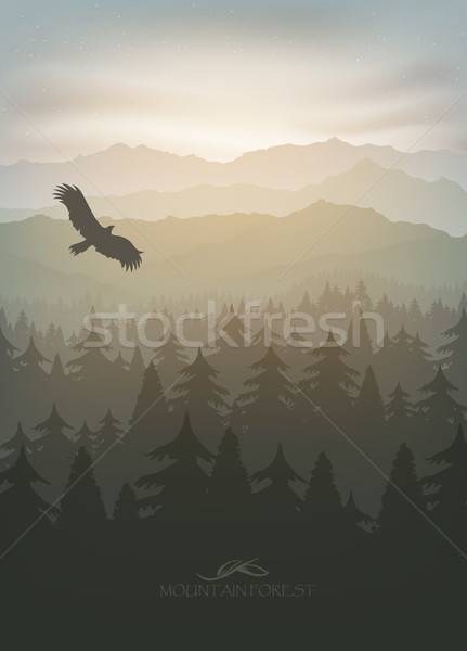 mountain forest in fog and sunrise Stock photo © Panaceadoll