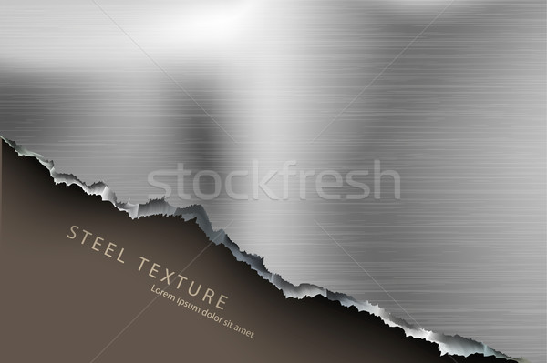 ragged hole in the metal Stock photo © Panaceadoll