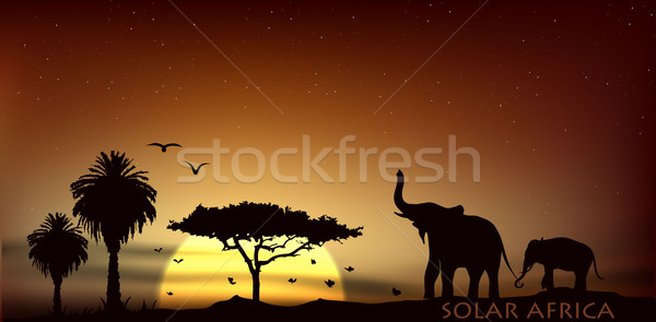 Stockfoto: Zonsopgang · savanne · afrikaanse · dieren · bomen · hemel