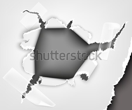 torn paper. hole in the notebook sheet in a cage Stock photo © Panaceadoll