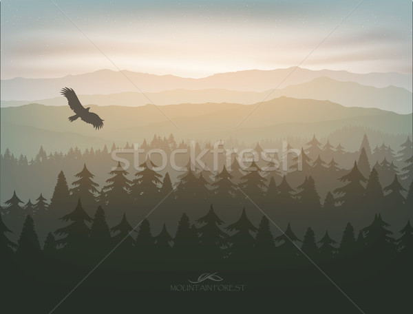 mountain forest in fog and sunrise Stock photo © Panaceadoll