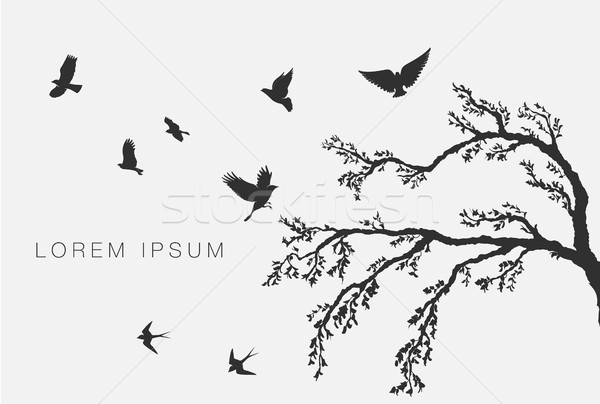 flying birds on tree branch Stock photo © Panaceadoll