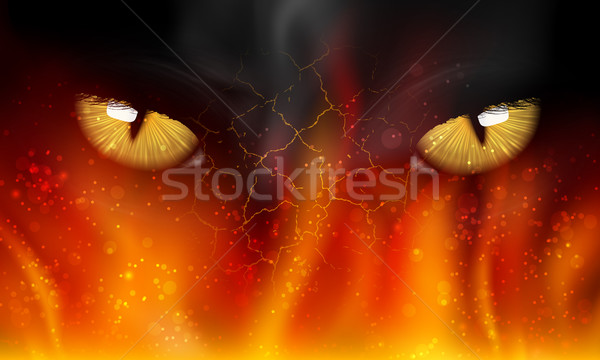 Macska szemek sötétség tűz sport terv Stock fotó © Panaceadoll