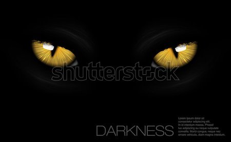 Stock photo: cat eyes in darkness