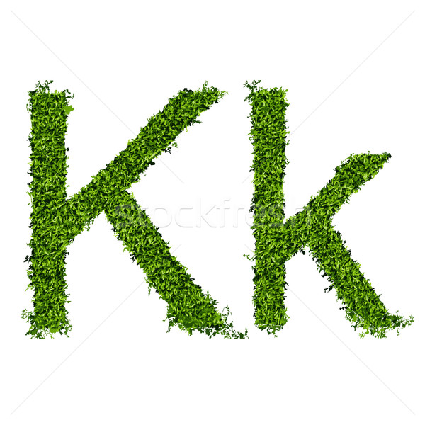 Isolated grass alphabet on white background Stock photo © Panaceadoll