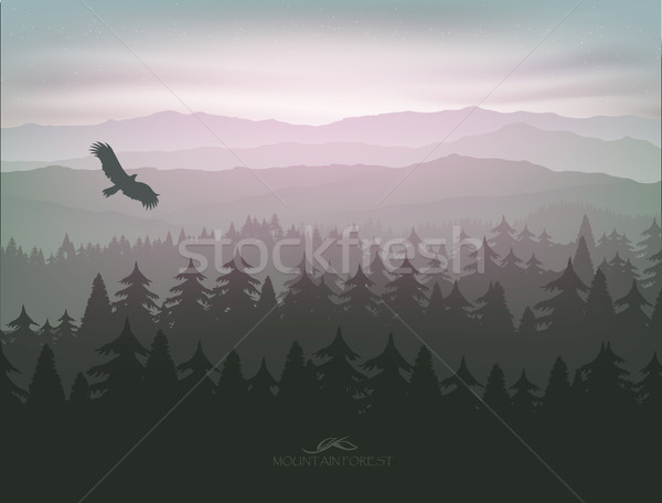 mountain forest in fog and sunrise Stock photo © Panaceadoll