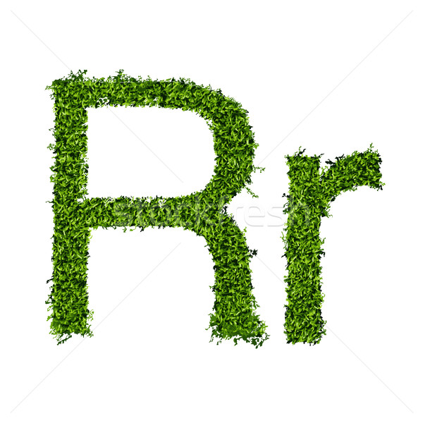 Isolated grass alphabet on white background Stock photo © Panaceadoll