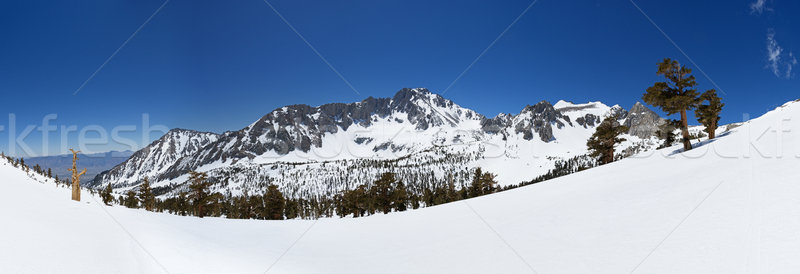 Cebula dolinie górskich panorama pokryty śniegu Zdjęcia stock © pancaketom