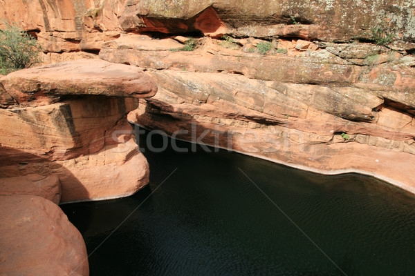 desert swimming hole Stock photo © pancaketom