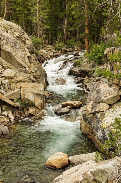 Waterfall Rapids Stock photo © pancaketom