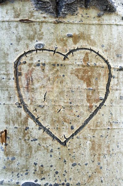 Aspen Bark Heart Stock photo © pancaketom