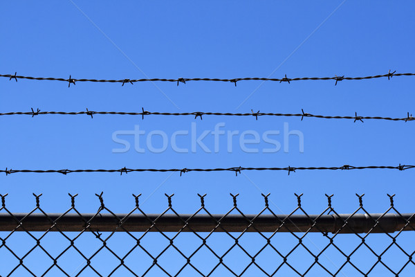 barb wire fence top Stock photo © pancaketom