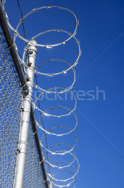 Razor Wire Fence Stock photo © pancaketom