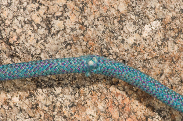 Nucleo shot climbing corda blu Foto d'archivio © pancaketom