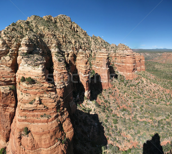 Rood rock Arizona top eiken Stockfoto © pancaketom